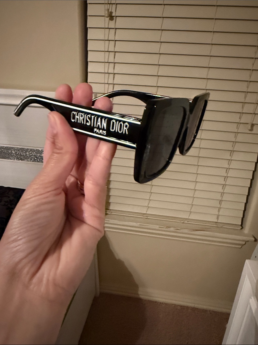 Christian Dior Black Oversized Logo Sunglasses